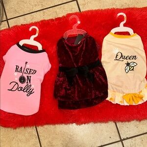 Jessica Simpson Dog Clothing Set - Pink, Red, Cream